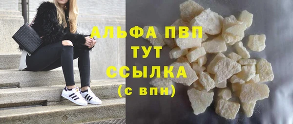 индика Аркадак