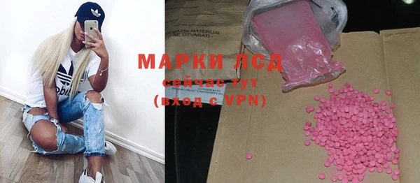 индика Аркадак