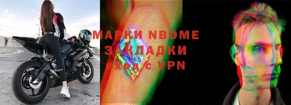 индика Аркадак