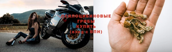 индика Аркадак