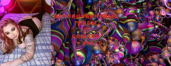 ПСИЛОЦИБИНОВЫЕ ГРИБЫ Армянск