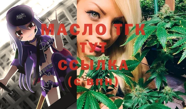 индика Аркадак