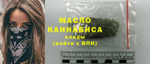 индика Аркадак