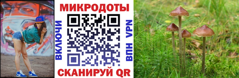 Псилоцибиновые грибы MAGIC MUSHROOMS  кракен маркетплейс  Можга 