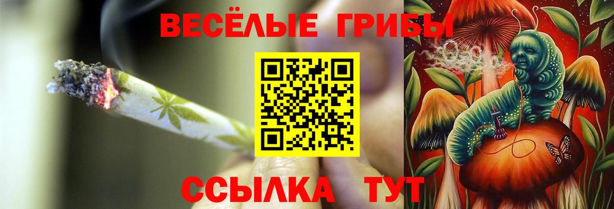 Галлюциногенные грибы Magic Shrooms  Вход с VPN  Можга 