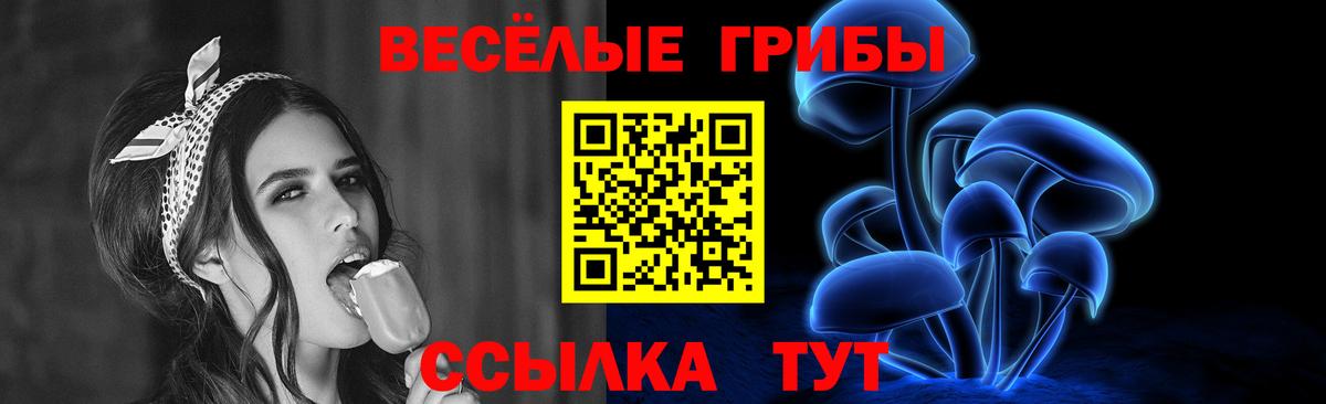 Галлюциногенные грибы GOLDEN TEACHER Можга